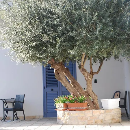 Bed & Breakfast Madigans 4*